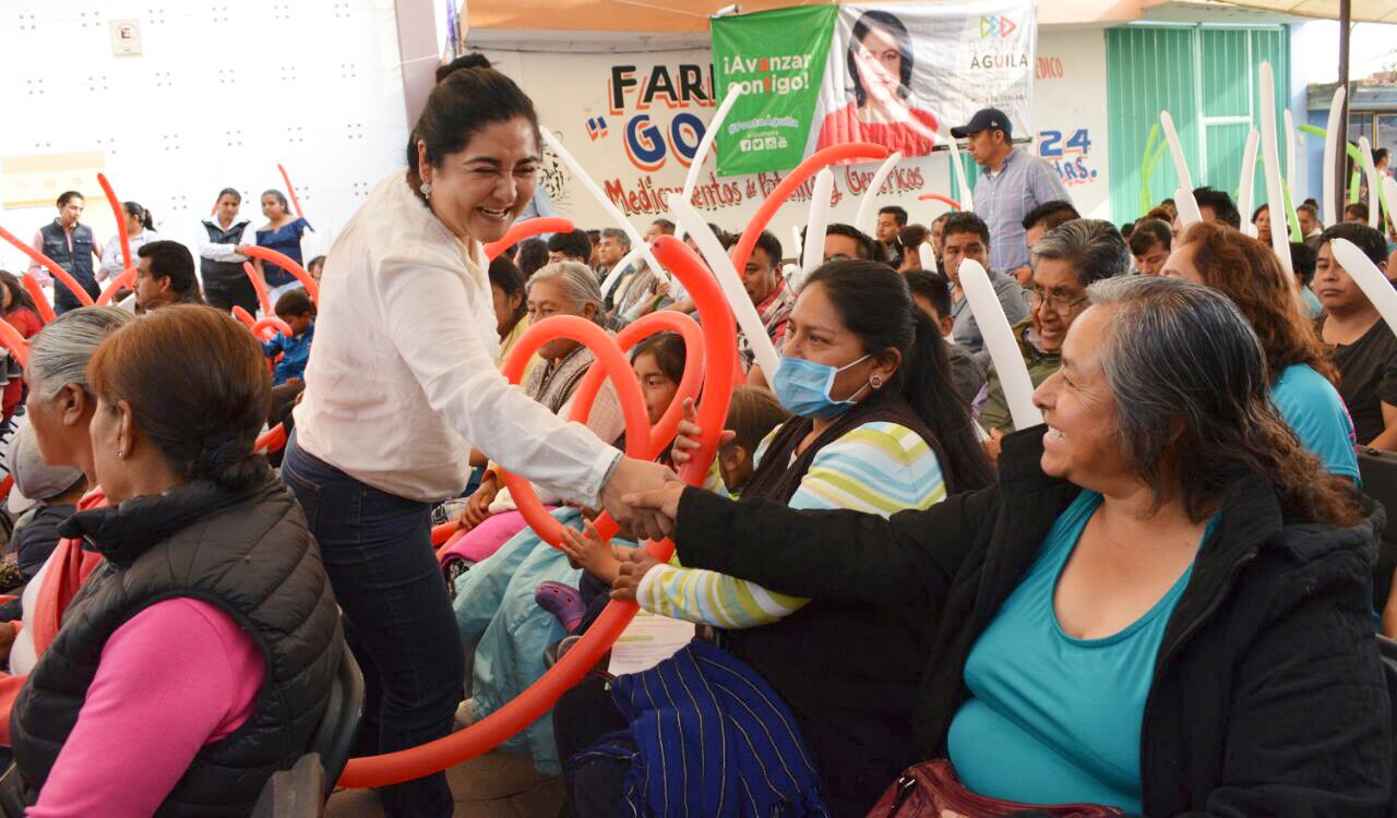 Seguiremos en la lucha desde el senado para erradicar la violencia contra las mujeres: AAV